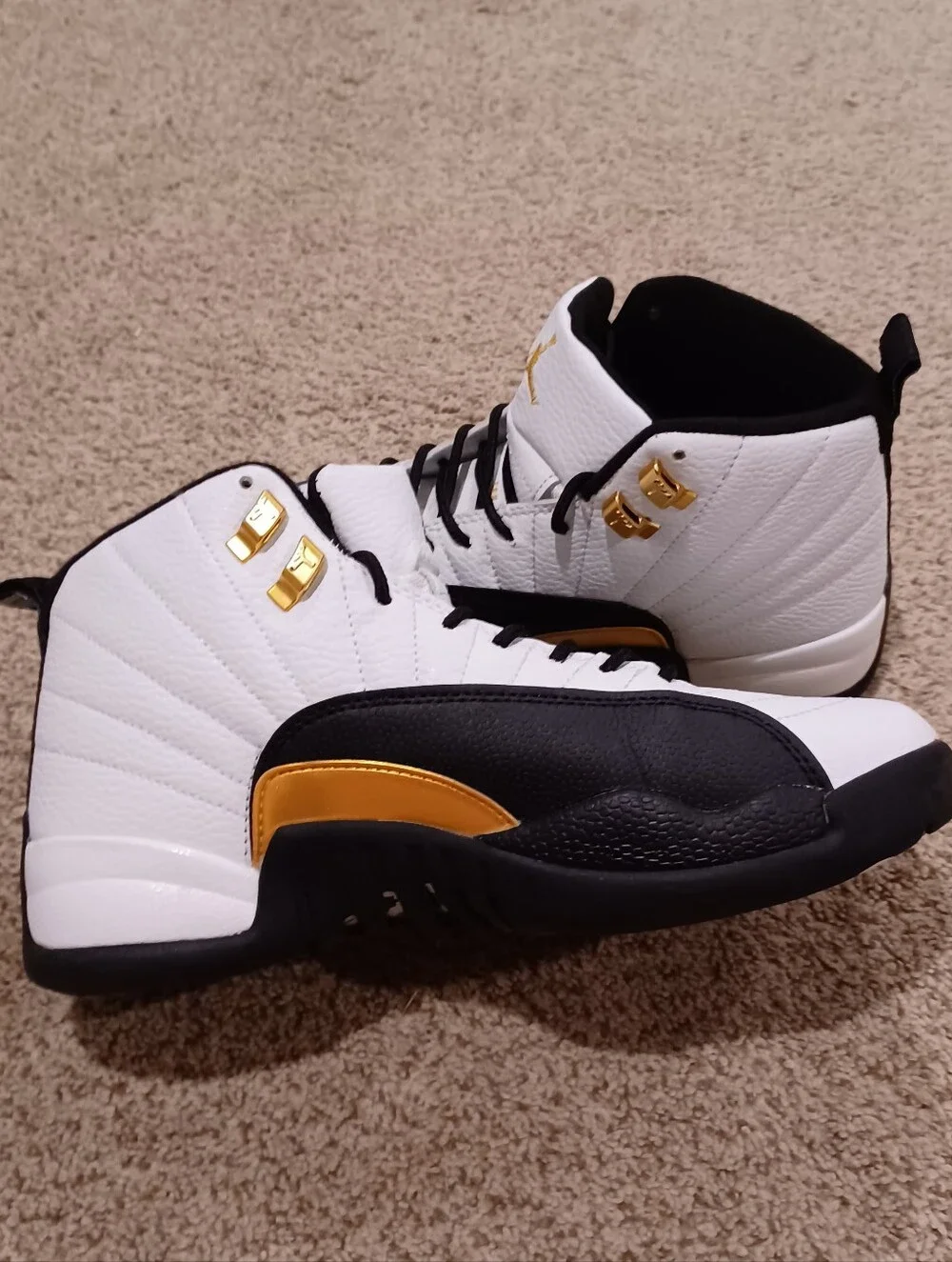 Air Jordan 12 Retro 
